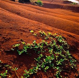 外媒评PS5平台令人沉迷的15款佳作 《龙之信条2》等